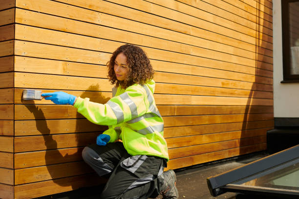 Best Stucco Siding  in Saddlebrooke, AZ